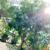 花のがっこうの写真・動画_image_650421