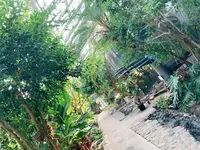 花のがっこうの写真・動画_image_650422
