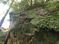 箕面の滝（箕面大滝）の写真・動画_image_650535