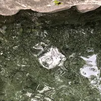 青木湖大向キャンプ場の写真・動画_image_651122