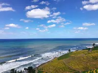 白米千枚田の写真・動画_image_652514