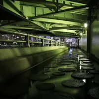 中の島公園の写真・動画_image_652557