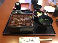 うな善の写真・動画_image_652569