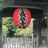 長谷寺の写真・動画_image_653499