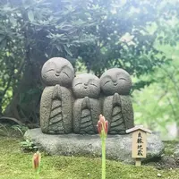 長谷寺の写真・動画_image_653500
