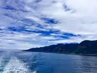 知床観光船の写真・動画_image_653616