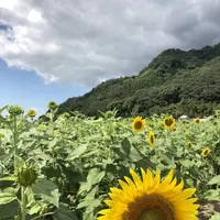道の駅　原鶴の写真・動画_image_654033