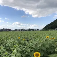 道の駅　原鶴の写真・動画_image_654035