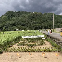 道の駅　原鶴の写真・動画_image_654036