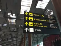 Jewel Changi Airportの写真・動画_image_654746
