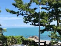 桂浜の写真・動画_image_656487