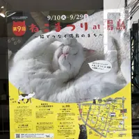 神田明神の写真・動画_image_657168