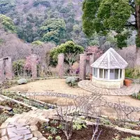 アカオハーブ＆ローズガーデンの写真・動画_image_657729