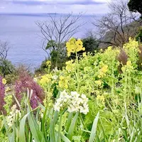 アカオハーブ＆ローズガーデンの写真・動画_image_657730