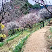 アカオハーブ＆ローズガーデンの写真・動画_image_657732