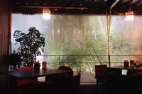 グリーンハウスシルバ （GREEN HOUSE Silva）の写真・動画_image_657836
