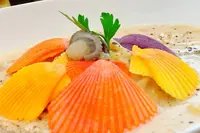 Lucky Meal Mermaid（ラッキーミールマーメイド）の写真・動画_image_657864
