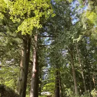 光前寺の写真・動画_image_658249