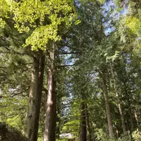 光前寺の写真・動画_image_658418