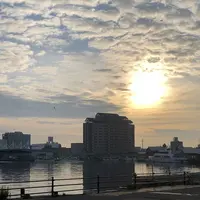 函館の写真・動画_image_658961