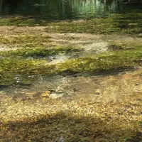 立山黒部アルペンルートの写真・動画_image_658971
