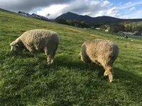 まきば公園の写真・動画_image_661865