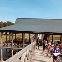 鶴の舞橋の写真・動画_image_663437