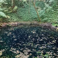 青池の写真・動画_image_663439