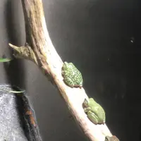 アクア・トト　ぎふの写真・動画_image_663777