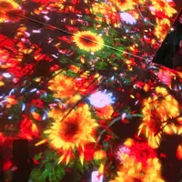【閉業】森ビルデジタルアートミュージアム：エプソン チームラボボーダレス（MORI Building Digital Art Museum: EPSON teamLab Borderless）の写真・動画_image_663834