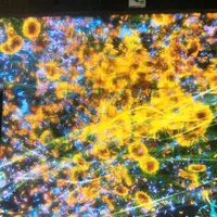【閉業】森ビルデジタルアートミュージアム：エプソン チームラボボーダレス（MORI Building Digital Art Museum: EPSON teamLab Borderless）の写真・動画_image_663837