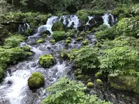 東慶寺の写真・動画_image_664145