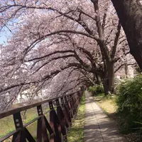 天神川の写真・動画_image_664299