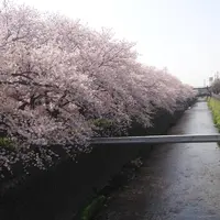 天神川の写真・動画_image_664300