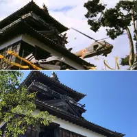 丸岡城天守閣の写真・動画_image_664328