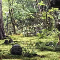 大原の写真・動画_image_664349