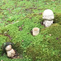 大原の写真・動画_image_664350