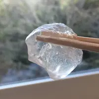 吉野山の写真・動画_image_664353