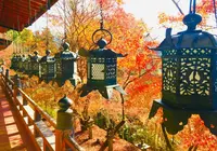 吉野山の写真・動画_image_664355