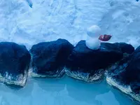乳頭温泉郷の写真・動画_image_665543