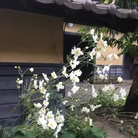 栗の小径の写真・動画_image_666013