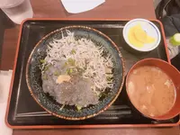 鎌倉駅の写真・動画_image_667898