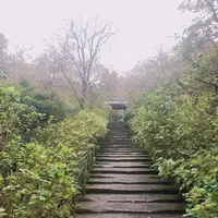 鎌倉駅の写真・動画_image_667899
