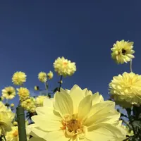 馬見丘陵公園の写真・動画_image_669155