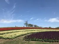 馬見丘陵公園の写真・動画_image_669156