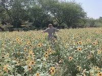 成田ゆめ牧場の写真・動画_image_669591