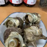 波戸岬の写真・動画_image_670157