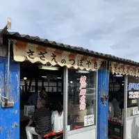 波戸岬の写真・動画_image_670159