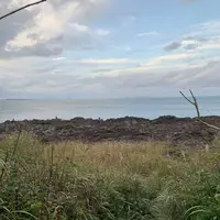 波戸岬キャンプ場の写真・動画_image_670163