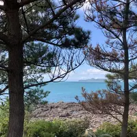 波戸岬キャンプ場の写真・動画_image_670165